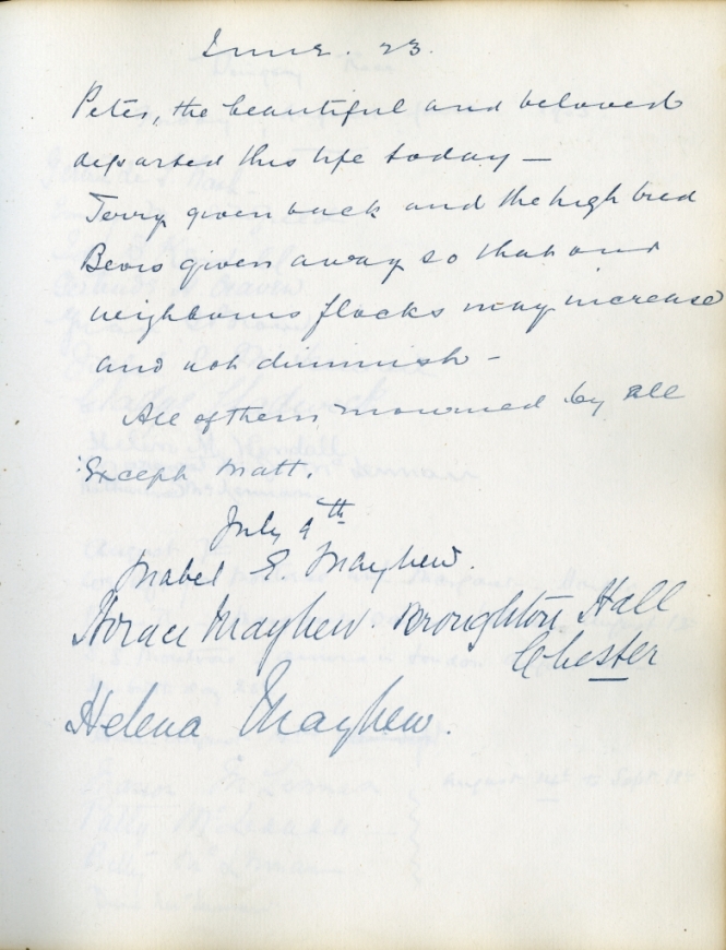 Petersfield Guestbook